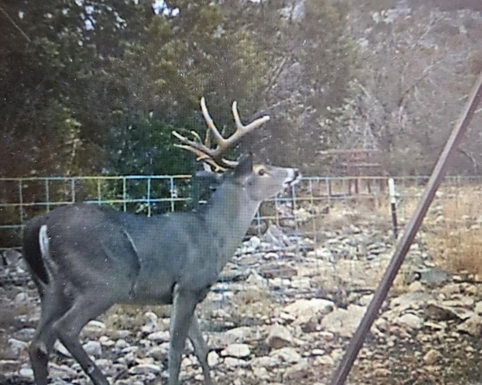 9025 SD 63530, Carta Valley, TX 78880