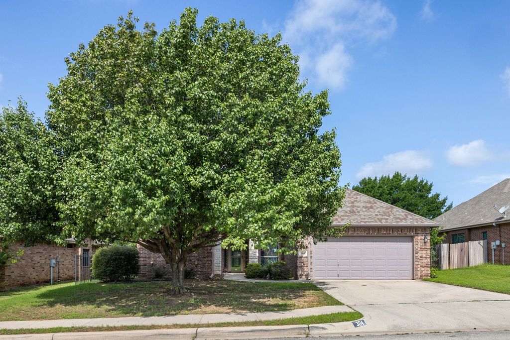 304 Jade Lane, Weatherford, TX 76086 — photo 2