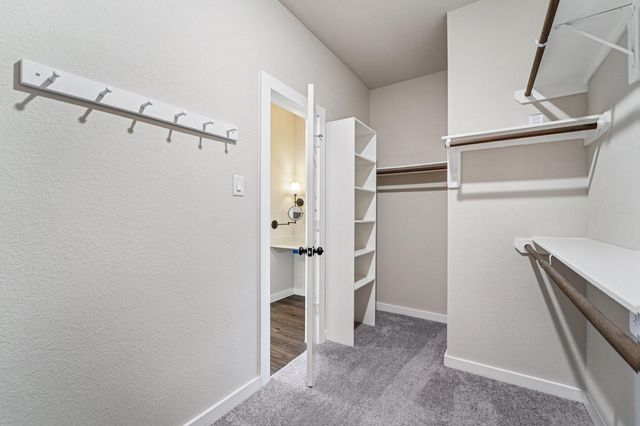 15011 Red Buckeye Drive, Cypress, TX 77433