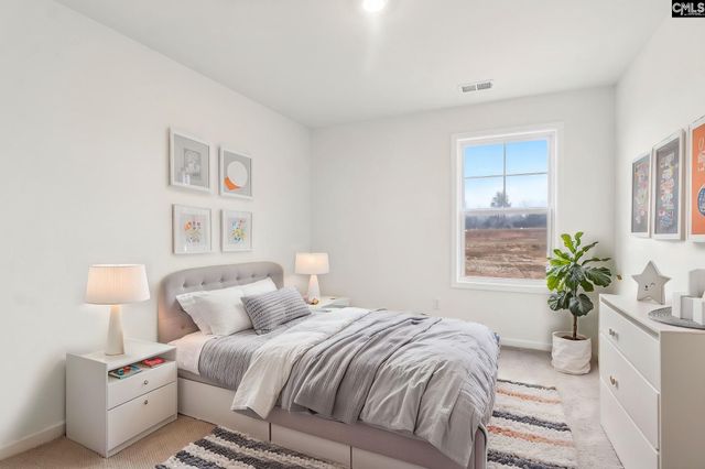 582 Griffon Drive, Chapin, SC 29036