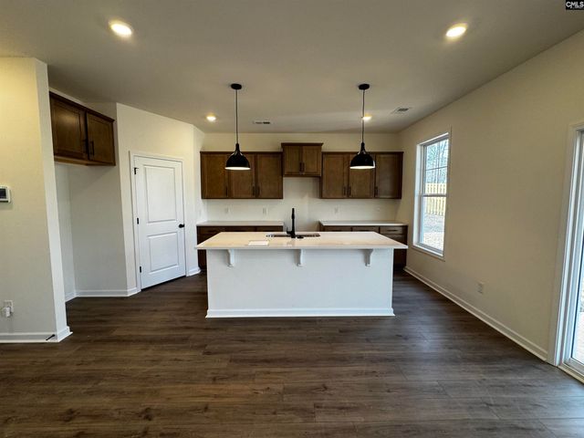 582 Griffon Drive, Chapin, SC 29036