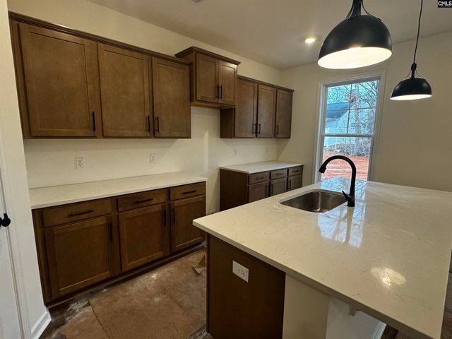 582 Griffon Drive, Chapin, SC 29036