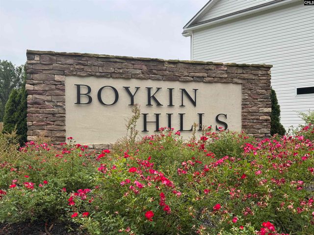 582 Griffon Drive, Chapin, SC 29036