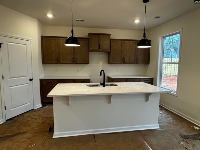 582 Griffon Drive, Chapin, SC 29036