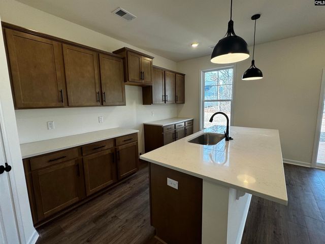 582 Griffon Drive, Chapin, SC 29036