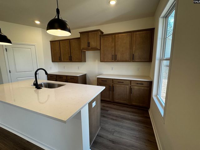 582 Griffon Drive, Chapin, SC 29036