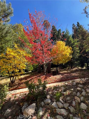 29729 Katharine, Cedar Glen, CA 92321