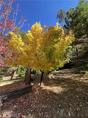 29729 Katharine, Cedar Glen, CA 92321