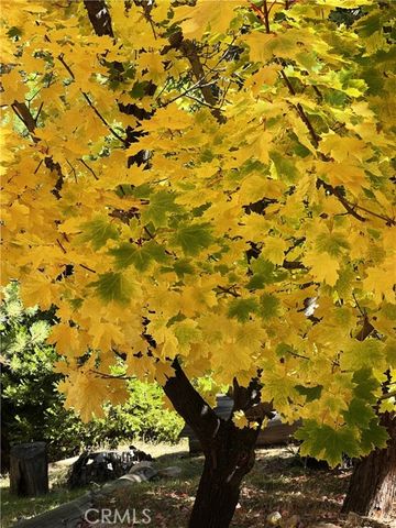 29729 Katharine, Cedar Glen, CA 92321