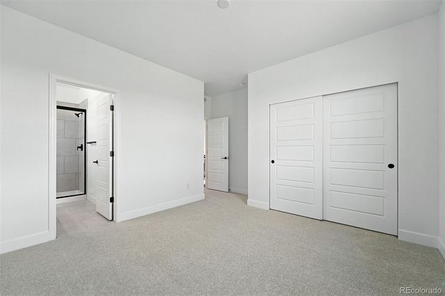 3447 Backdrop Court, Castle Rock, CO 80108