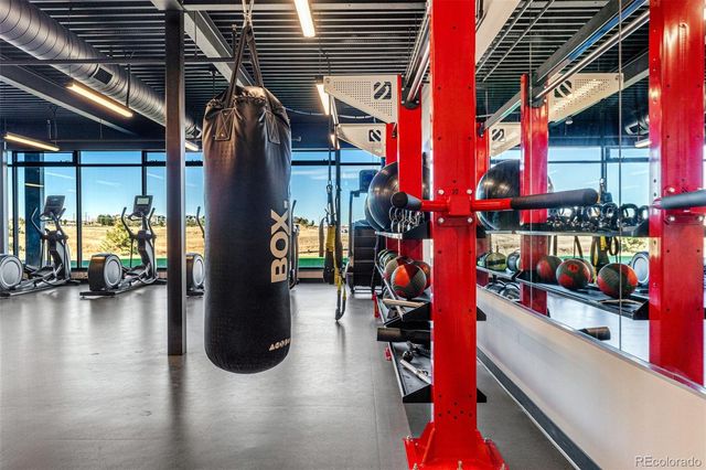 3447 Backdrop Court, Castle Rock, CO 80108