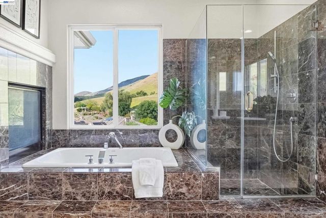 47652 Avalon Heights Ter, Fremont, CA 94539