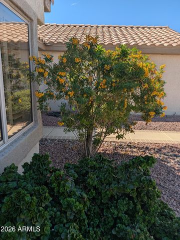 16225 W TAPATIO Drive, Surprise, AZ 85374
