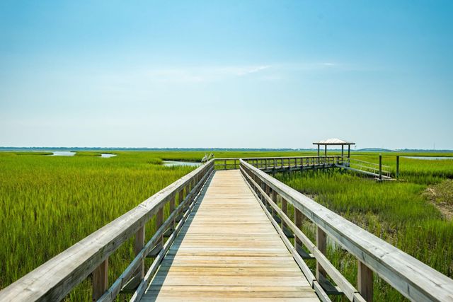 1630 Prince Edward Street, Mount Pleasant, SC 29466