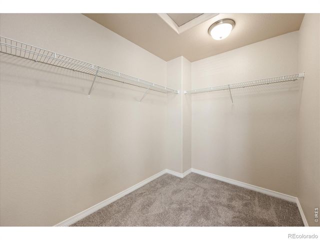 480 Wind River Drive, Windsor, CO 80550