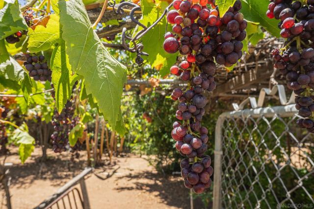 74 E St East, Chula Vista, CA 91910