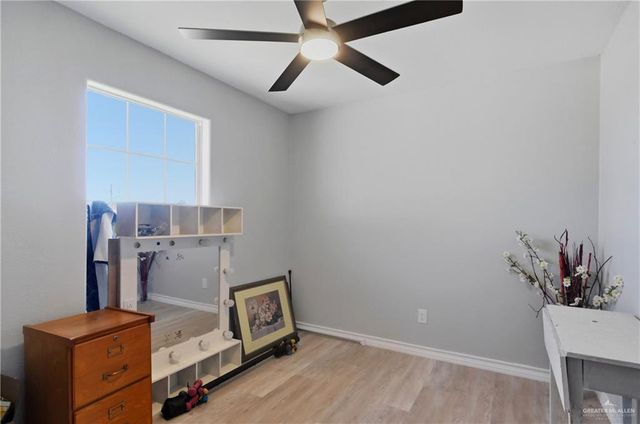 232 Spanish Oak Drive, Alamo, TX 78516