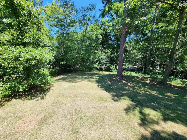117 Bowhill Court, Irmo, SC 29063
