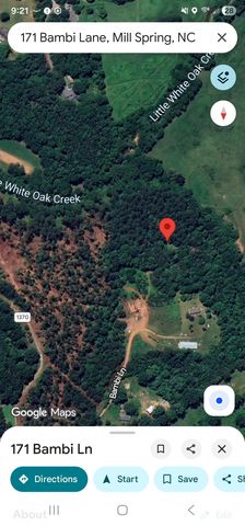 171 Bambi Lane, Mill Spring, NC 28756