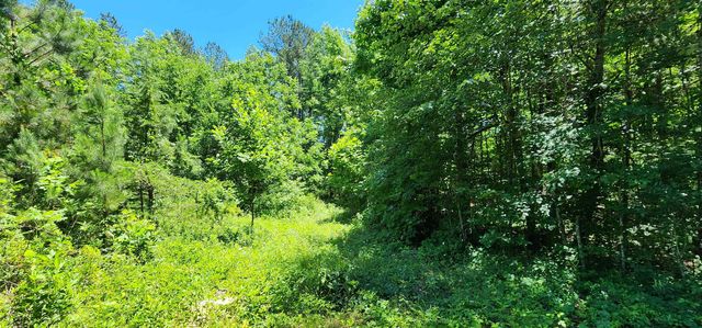171 Bambi Lane, Mill Spring, NC 28756