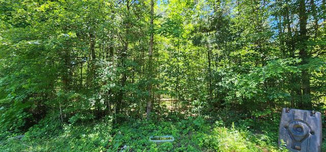 171 Bambi Lane, Mill Spring, NC 28756