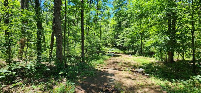 171 Bambi Lane, Mill Spring, NC 28756