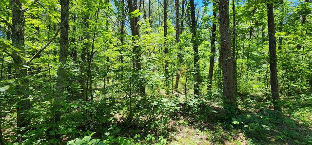 171 Bambi Lane, Mill Spring, NC 28756