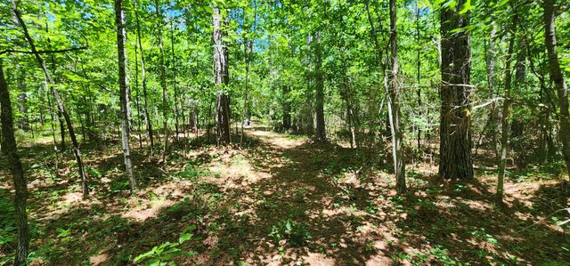 171 Bambi Lane, Mill Spring, NC 28756