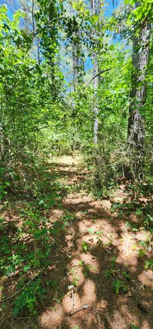 171 Bambi Lane, Mill Spring, NC 28756