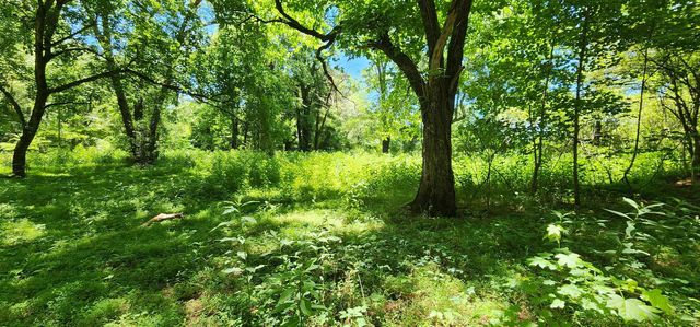 171 Bambi Lane, Mill Spring, NC 28756