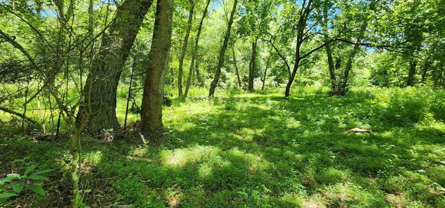 171 Bambi Lane, Mill Spring, NC 28756