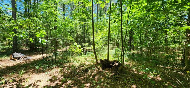 171 Bambi Lane, Mill Spring, NC 28756