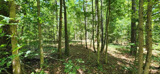 171 Bambi Lane, Mill Spring, NC 28756