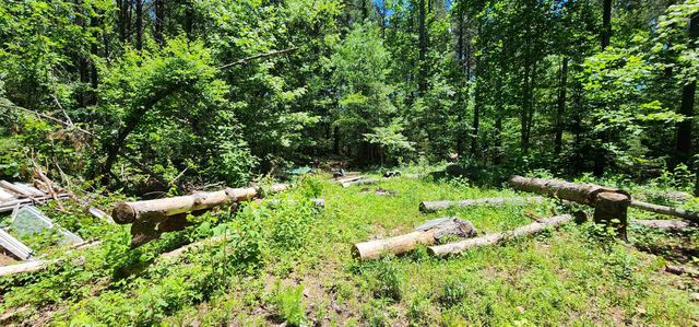 171 Bambi Lane, Mill Spring, NC 28756