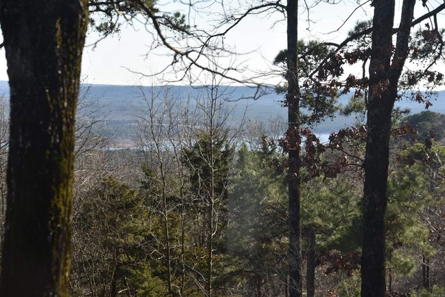 215 Pine Hill Rd, Fairfield Bay, AR 72088