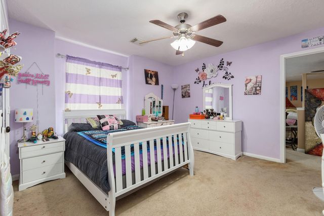 18339 Steele Point Drive, Crosby, TX 77532