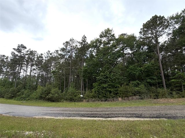8-11-4b Sundog Road, Huntsville, TX 77340