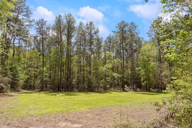 8-11-4b Sundog Road, Huntsville, TX 77340