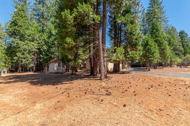 26299 Sugar Pine Dr, Pioneer, CA 95666