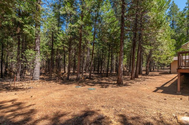 26299 Sugar Pine Dr, Pioneer, CA 95666