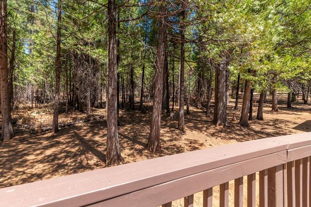 26299 Sugar Pine Dr, Pioneer, CA 95666