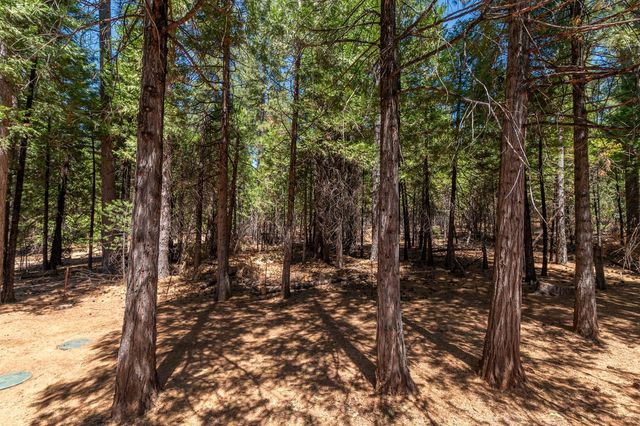 26299 Sugar Pine Dr, Pioneer, CA 95666