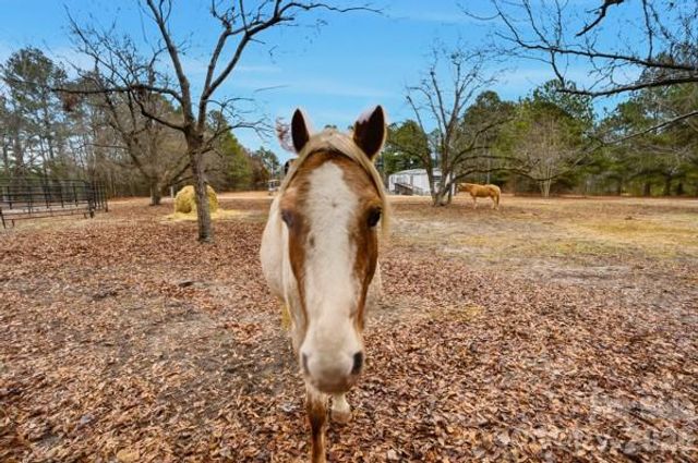 551 Maples Road, Pageland, SC 29728