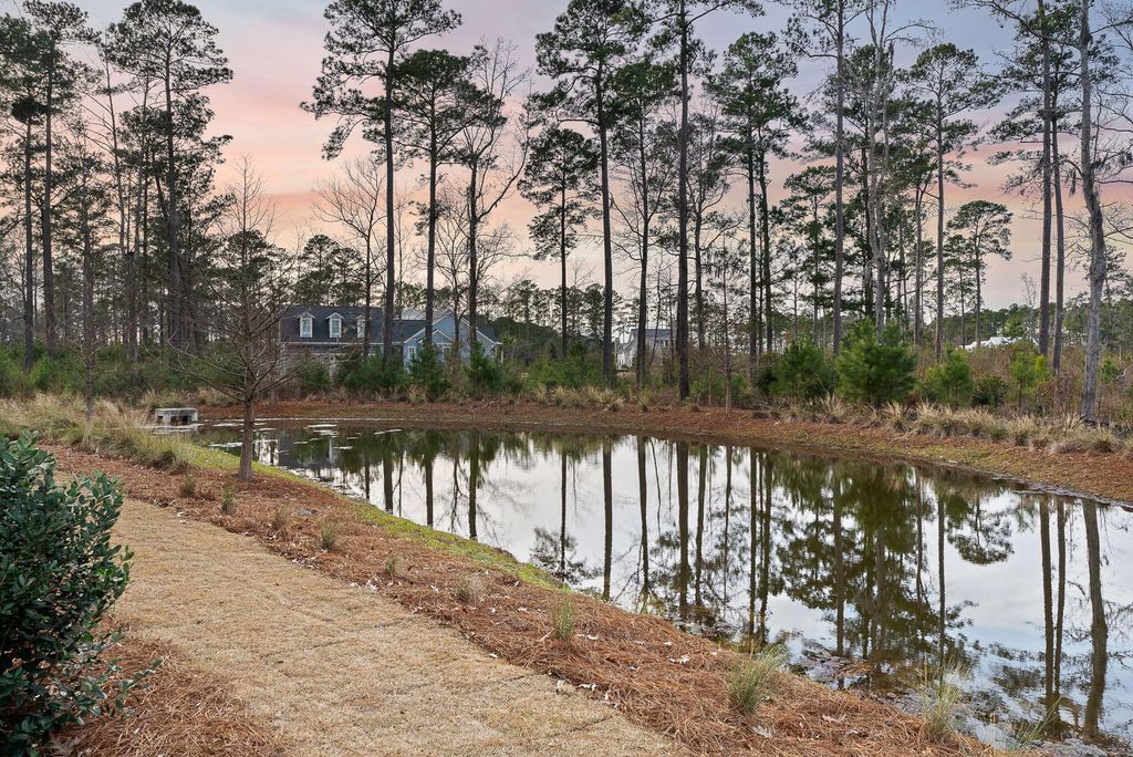 Image 31 of property listing at 111 Peninsula Drive, Ravenel, SC 29470