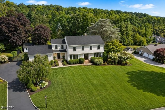 8 Patriot Rd, Peapack Gladstone Boro, NJ 07934