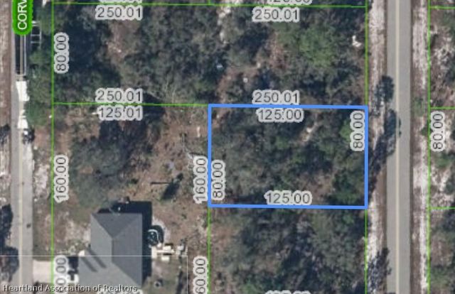 211 BARON Avenue NW, Lake Placid, FL 33852