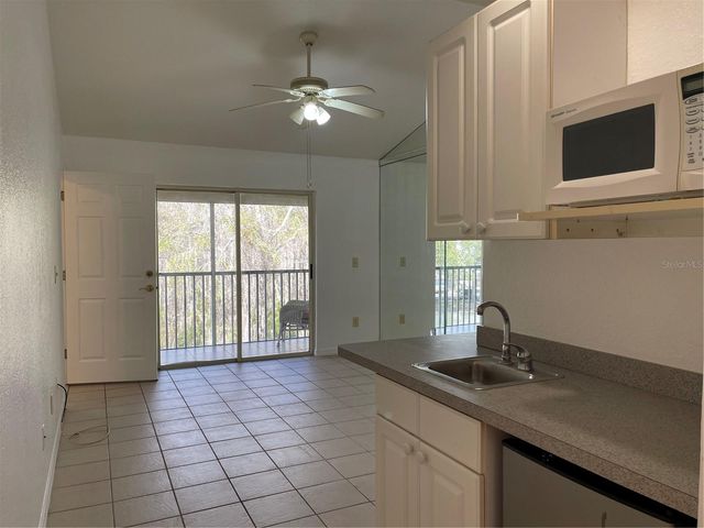 21107 FOUNTAIN VIEW LANE 5301, Lutz, FL 33558