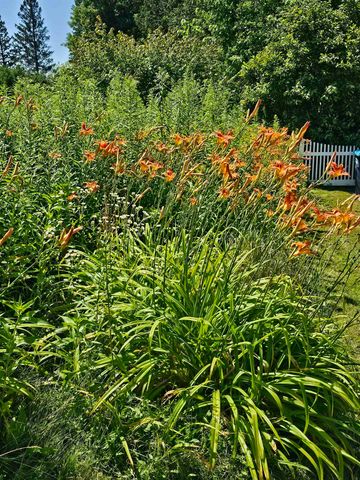 31 Hillside Drive, Williston, VT 05495