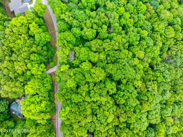 Running Deer Tr, Caryville, TN 37714