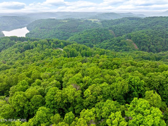 Running Deer Tr, Caryville, TN 37714